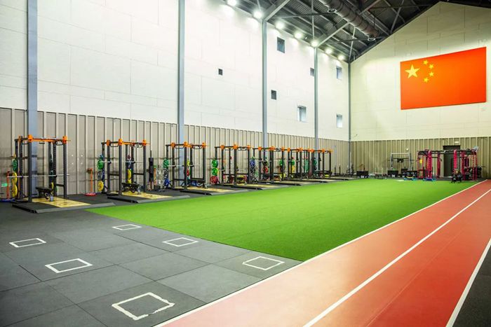 体能训练解决方案-广西多宝电竞体育