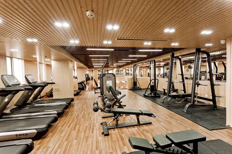 多宝电竞体能训练器材-广西多宝电竞体育健身器材有限公司